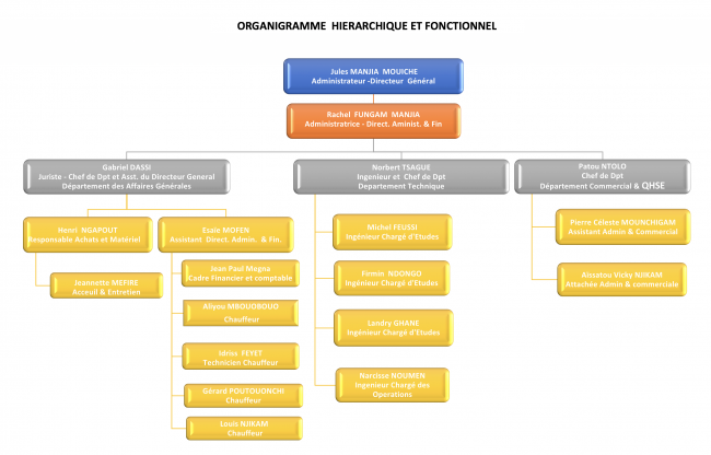 organigramme noticam